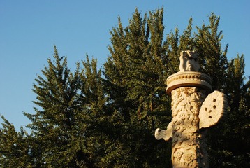 DSC_2239.JPG