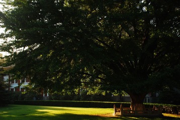 DSC_2265.JPG