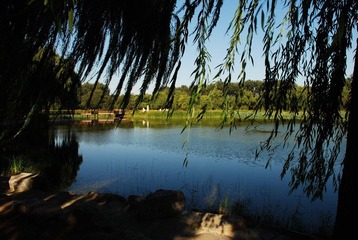 DSC_2367.JPG