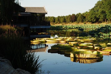DSC_2411.JPG