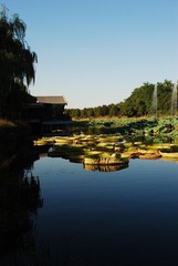 DSC_2413.JPG