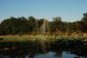 DSC_2426.JPG