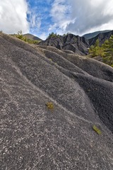 DSC_1242.JPG