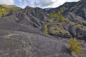DSC_1247.JPG