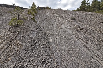 DSC_1345.JPG