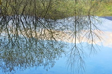 DSC_1348.JPG