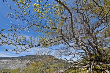 DSC_1424.JPG