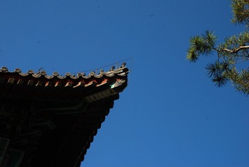 DSC_1434.JPG