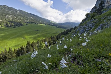 DSC_1443.JPG