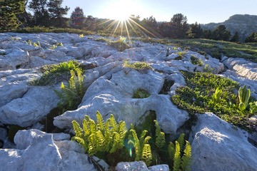 DSC_1446.JPG