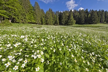 DSC_1466.JPG