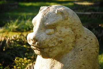 DSC_1498.JPG