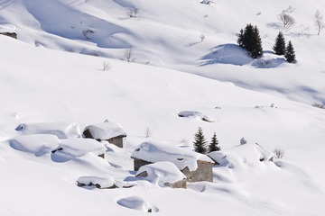 DSC_1535.JPG
