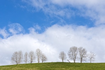DSC_1544.JPG