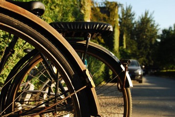 DSC_1546.JPG