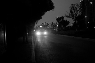 DSC07176.jpg