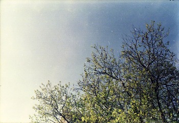 Untitled-2.jpg