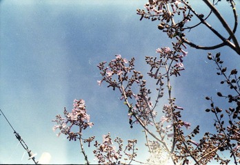 Untitled-17.jpg