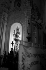 L1001707.jpg
