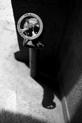 L1001688.jpg