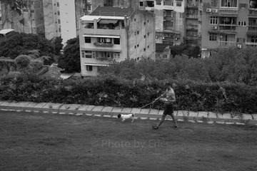 L1001783.jpg