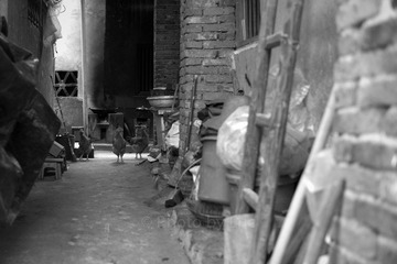 L1001963.jpg