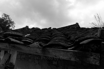 L1001960.jpg