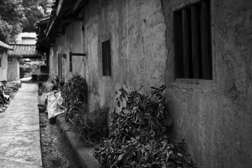 L1001954.jpg