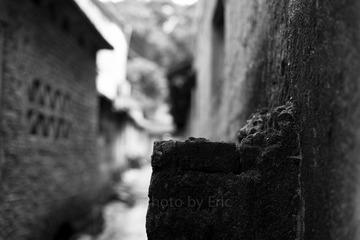 L1001952.jpg