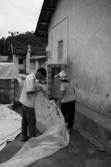 L1001950.jpg