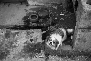 L1001949.jpg