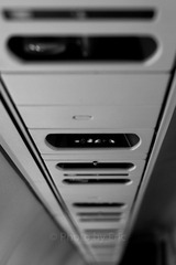 L1002255.jpg