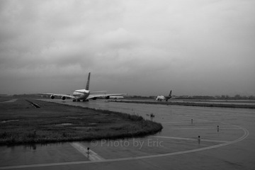 L1002610.jpg