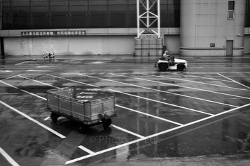 L1002600.jpg