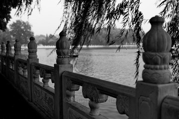 L1003325.jpg