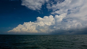 DSC_4468.jpg