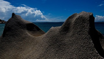 DSC_4423.jpg