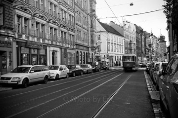 L1000344.jpg