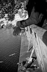 L1000398.jpg
