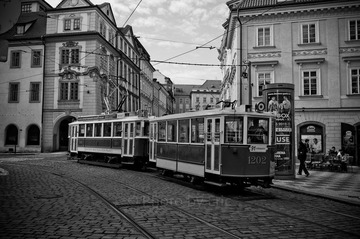 L1000681.jpg