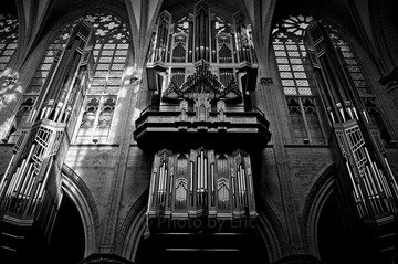 L1001963.jpg