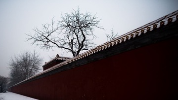 ZZN_2286.jpg