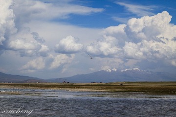 IMG_4322-1.jpg