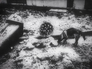 120330A021.jpg