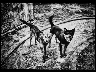 120402A014.jpg