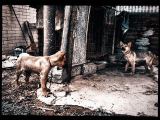 120402A018.jpg