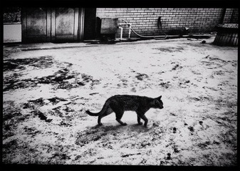 120402A030.jpg