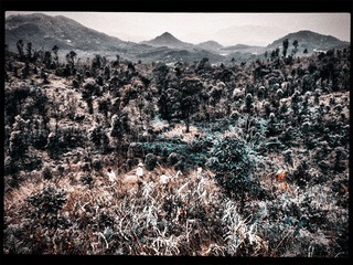 120403A011.jpg
