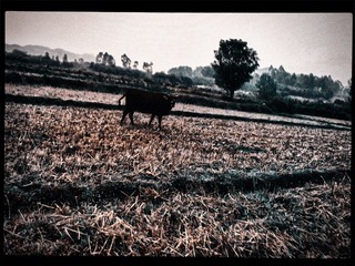 120403A017.jpg