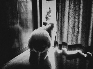 120409A000.jpg